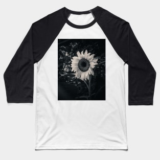 Sunflower in the Dark. Black and White Photograph Baseball T-Shirt